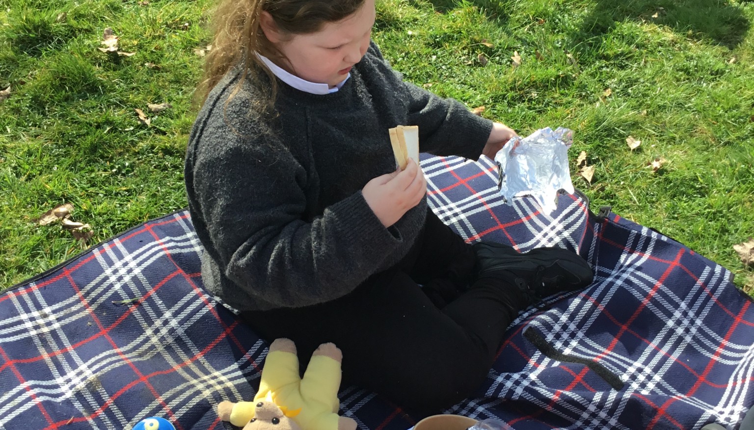 Teddy Bear’s Picnic 