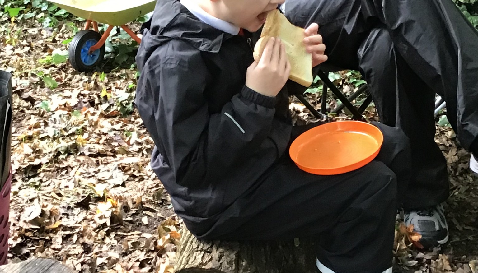 Forest School