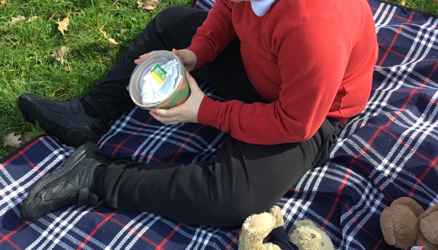 Teddy Bear’s Picnic 