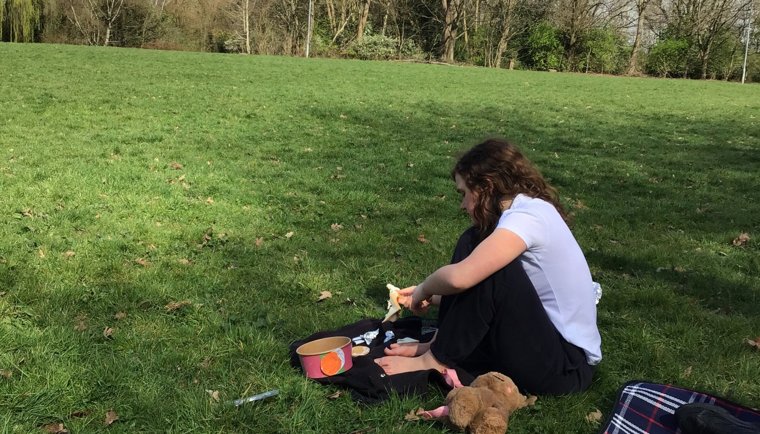 Teddy Bear’s Picnic 