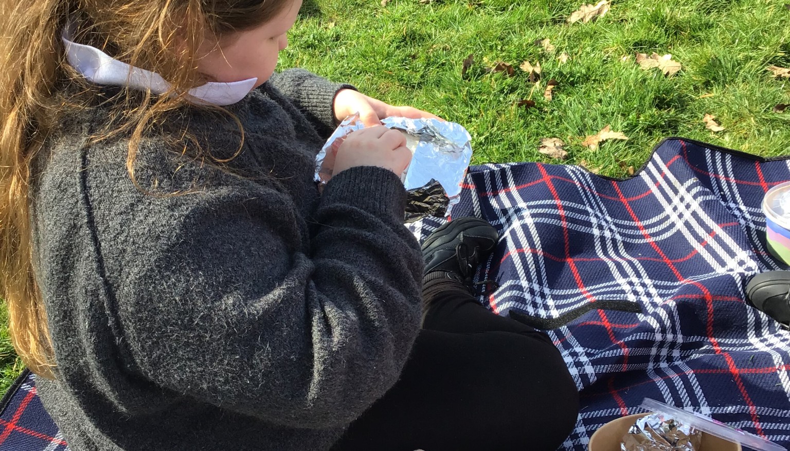 Teddy Bear’s Picnic 