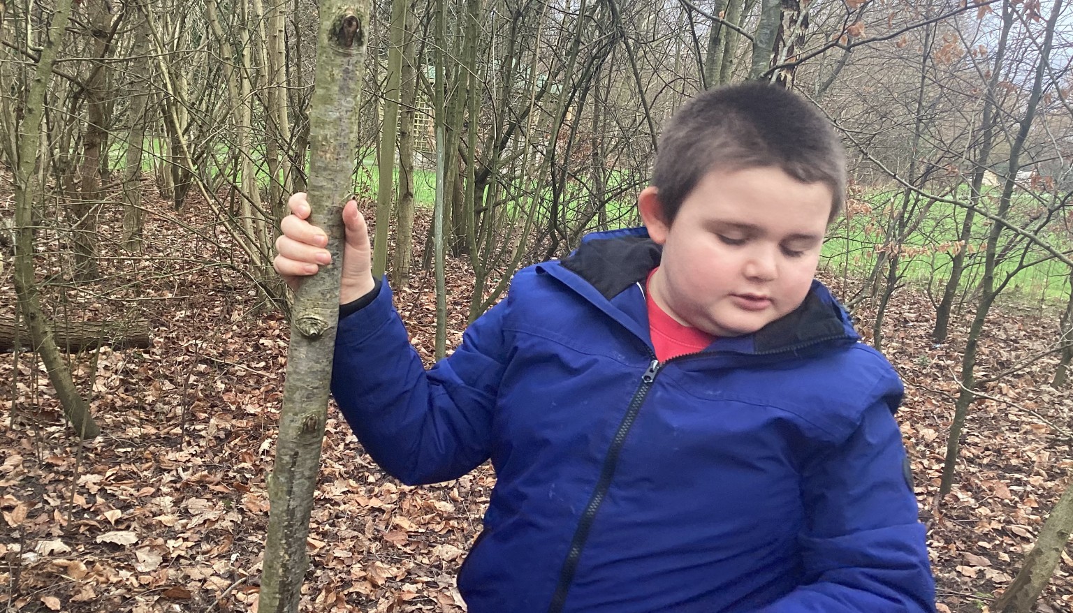 Forest School 