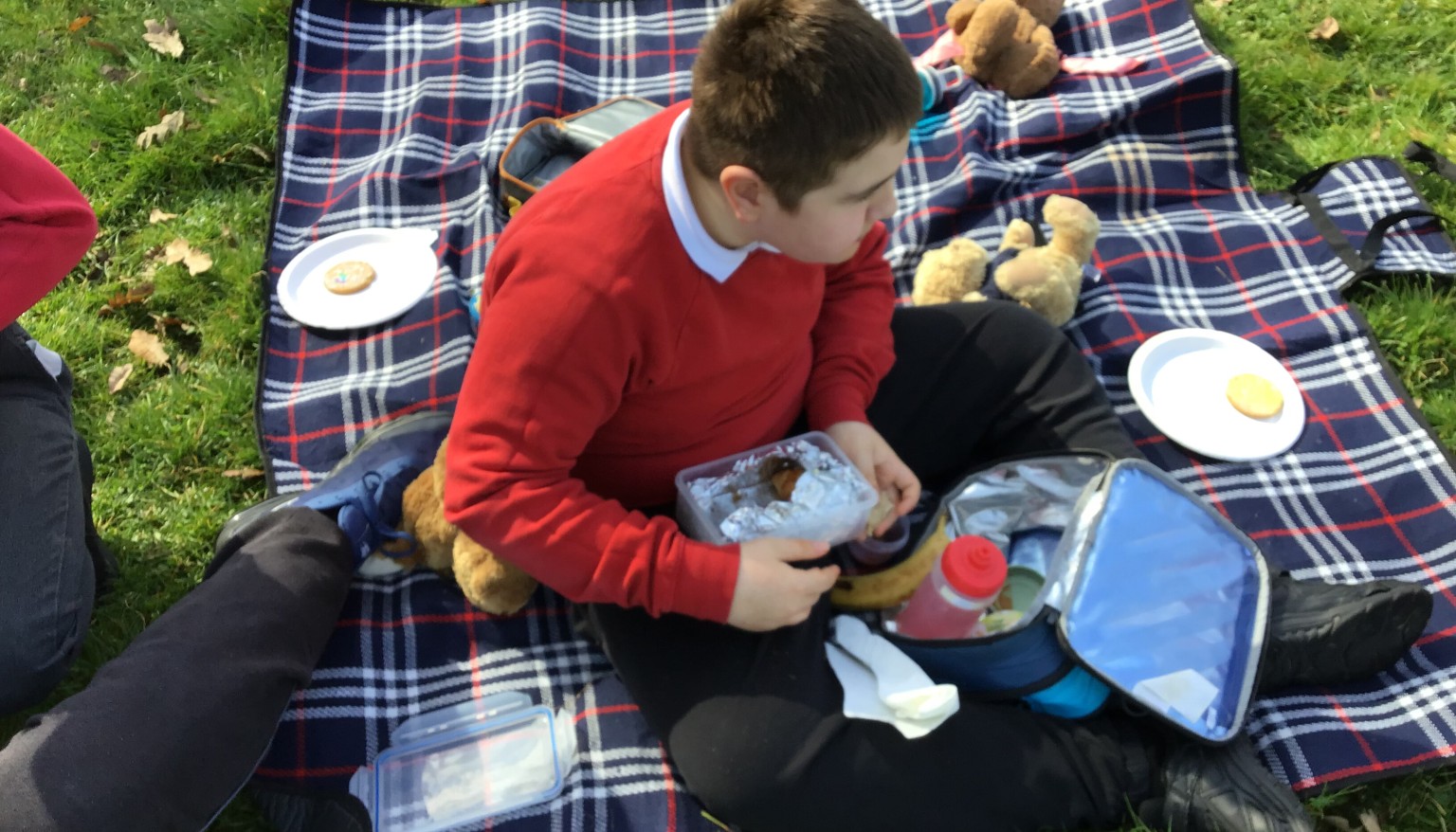 Teddy Bear’s Picnic 