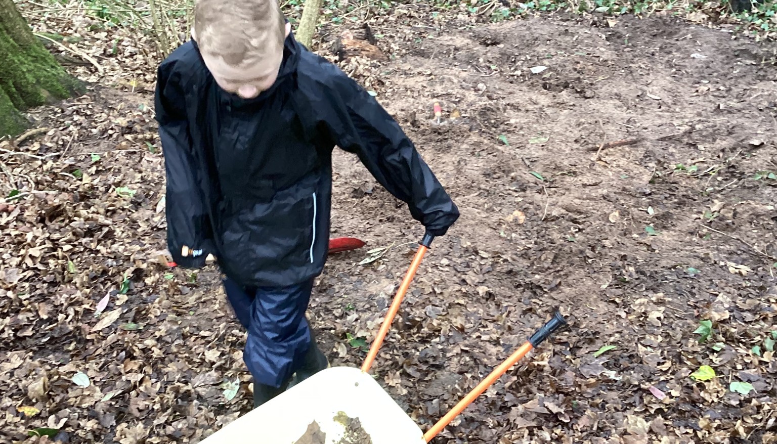 Forest School 