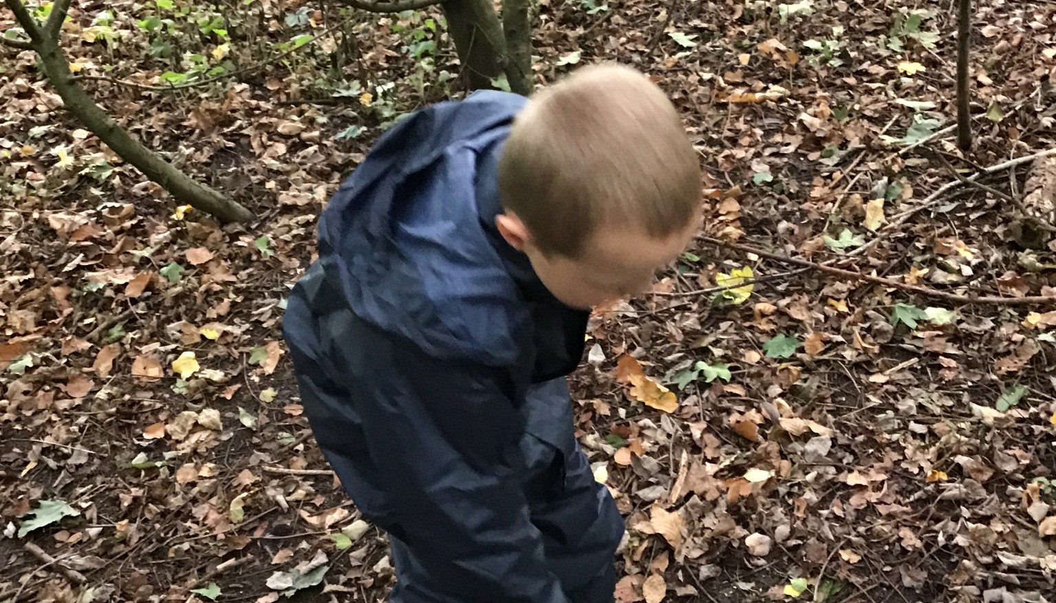 Forest School