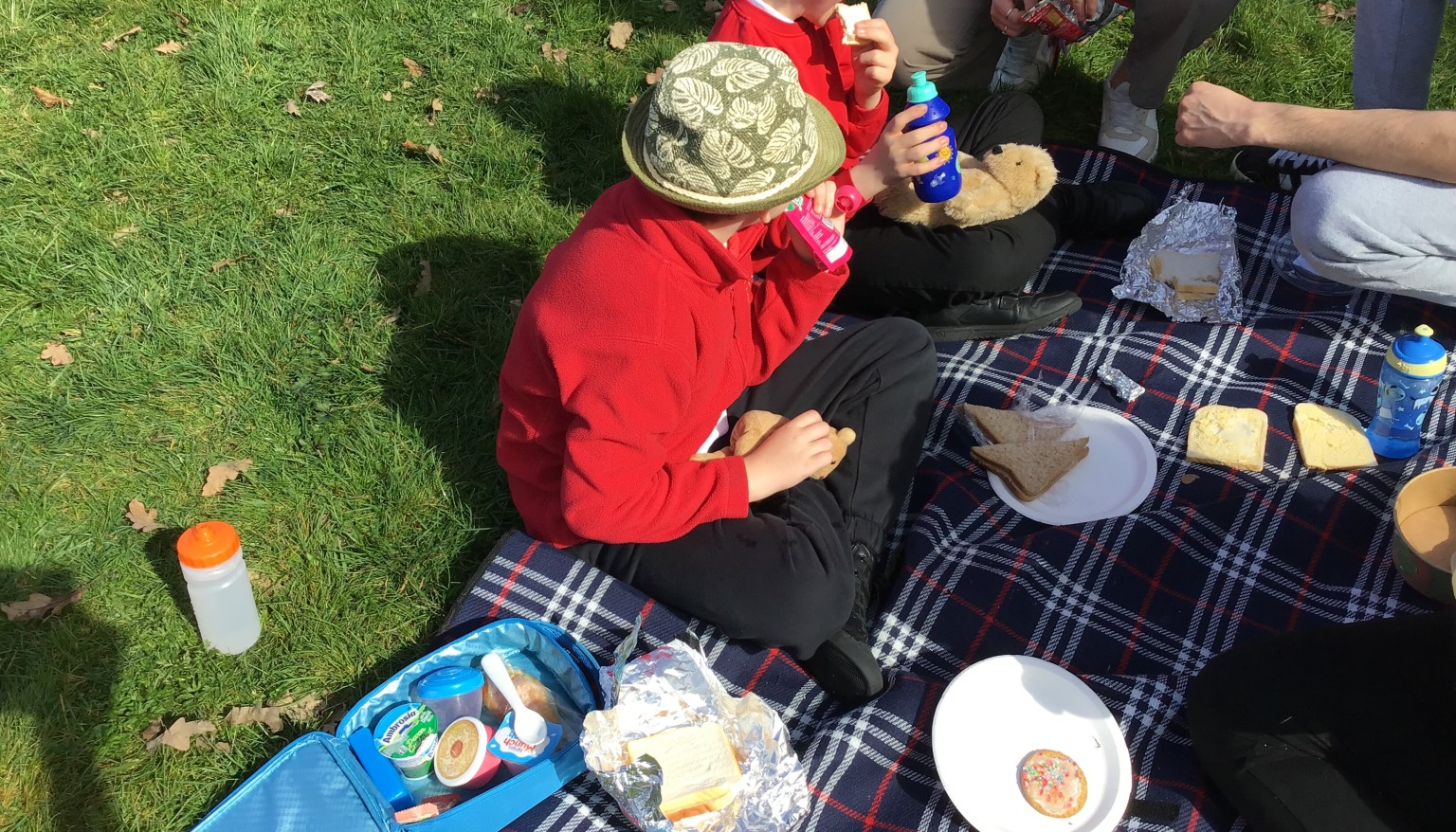 Teddy Bear’s Picnic 