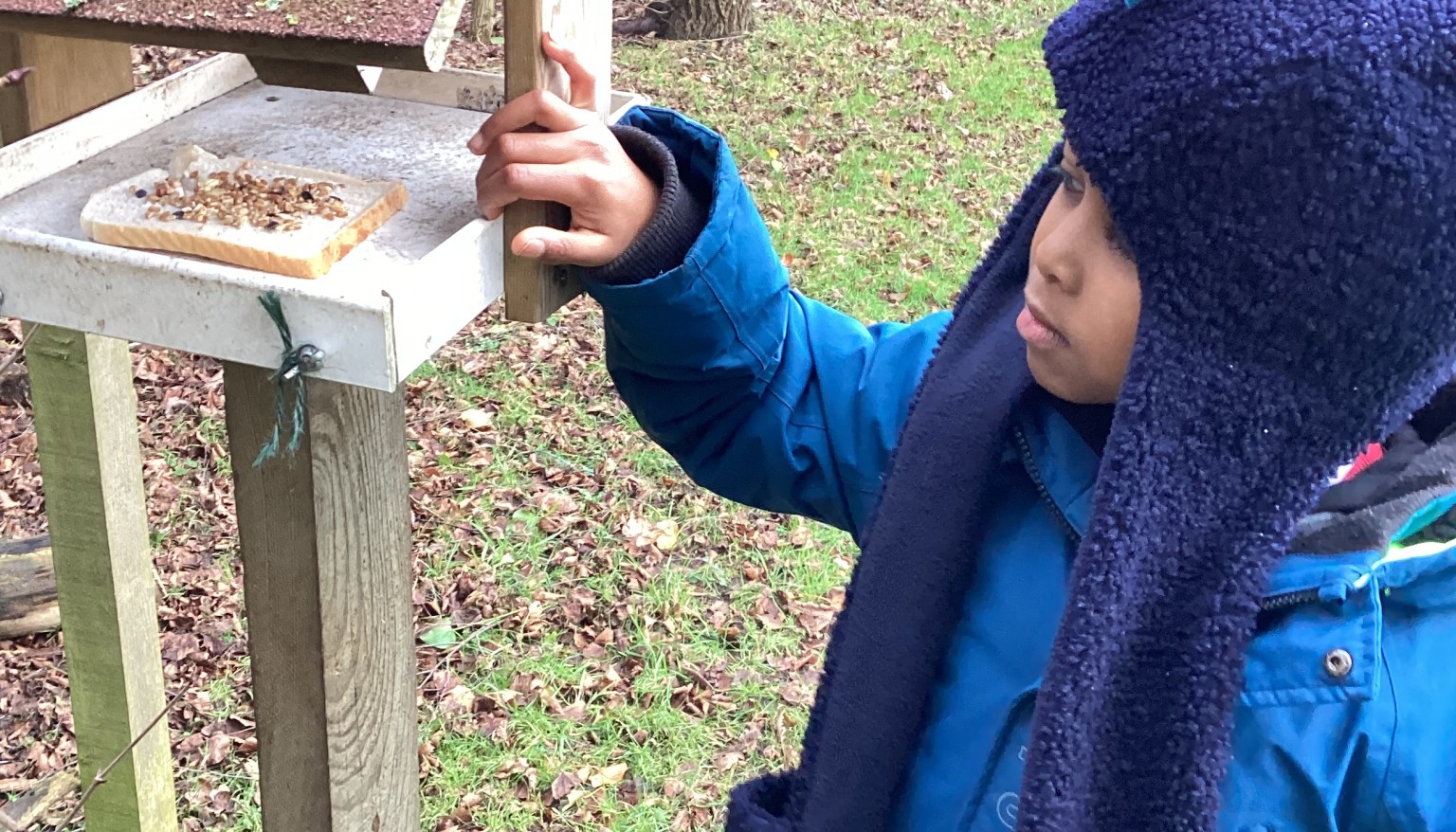 Forest School 
