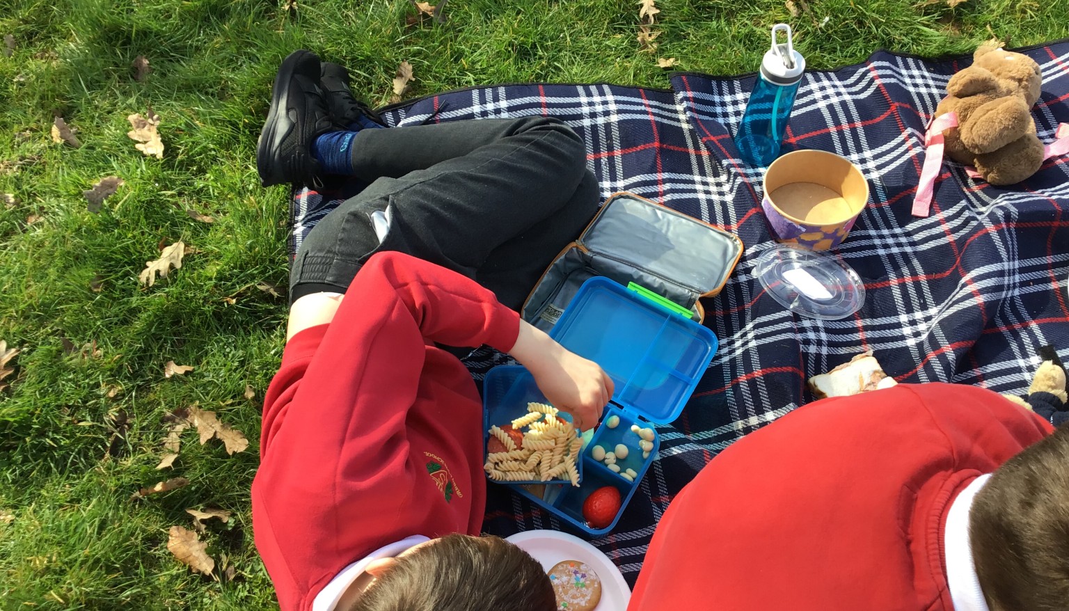 Teddy Bear’s Picnic 