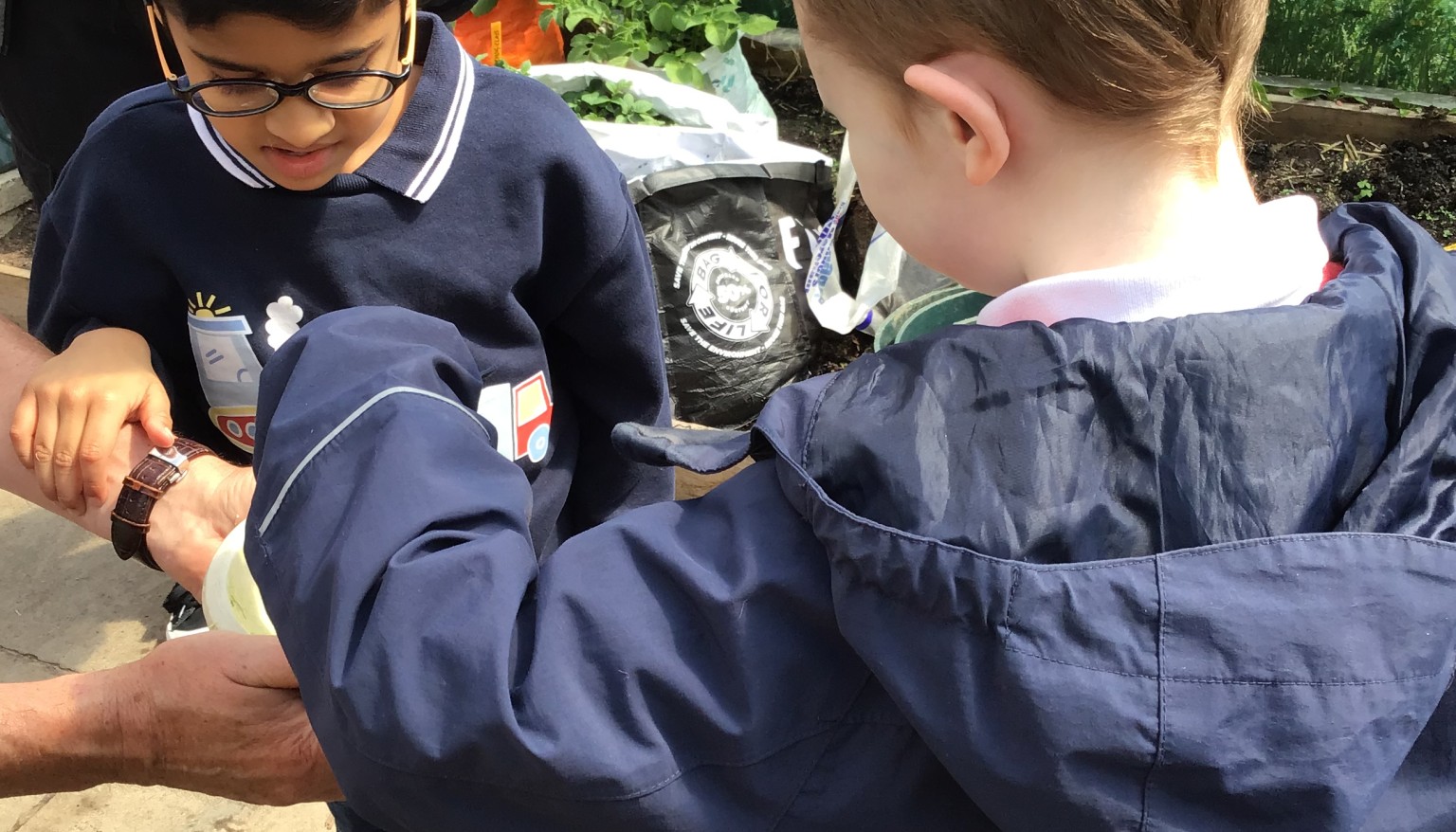 Karate and gardening.