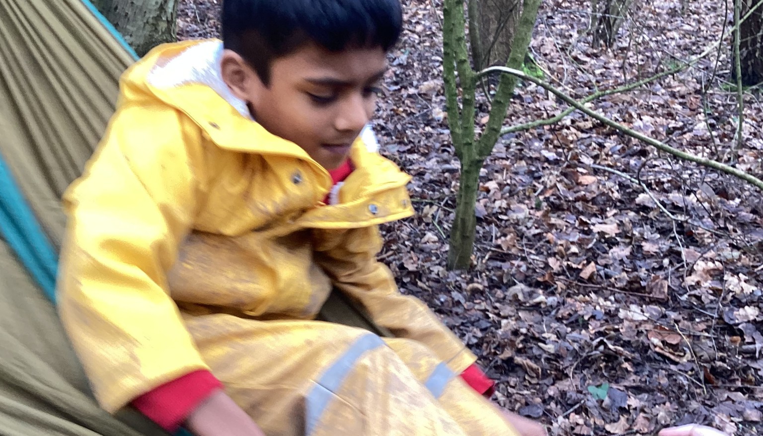 Forest School 