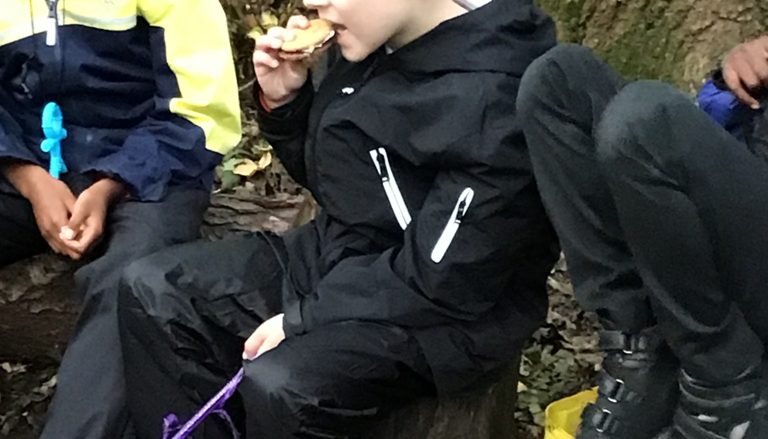 Forest School