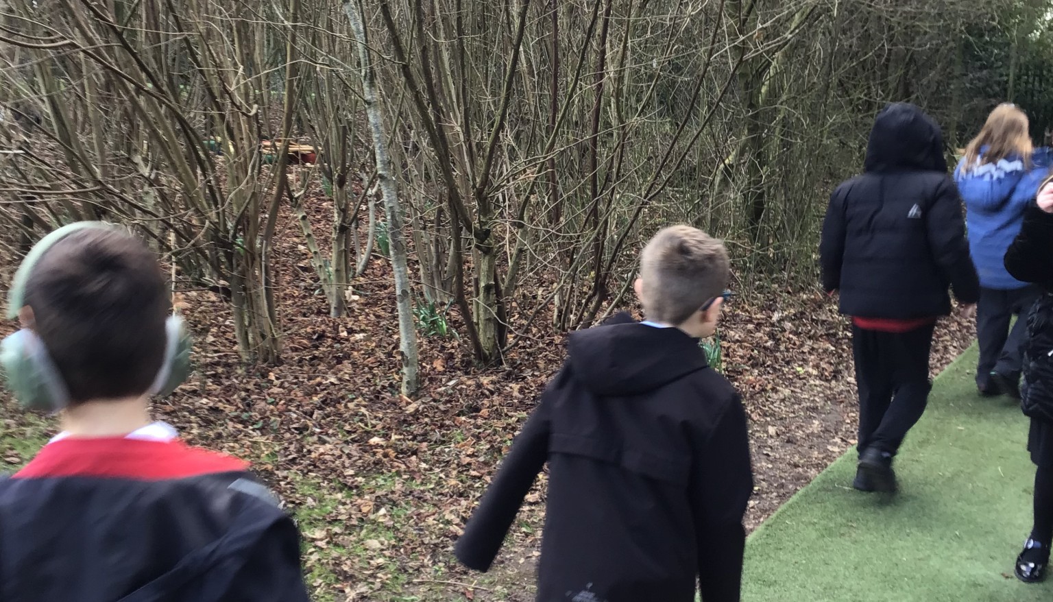 Nature Walk