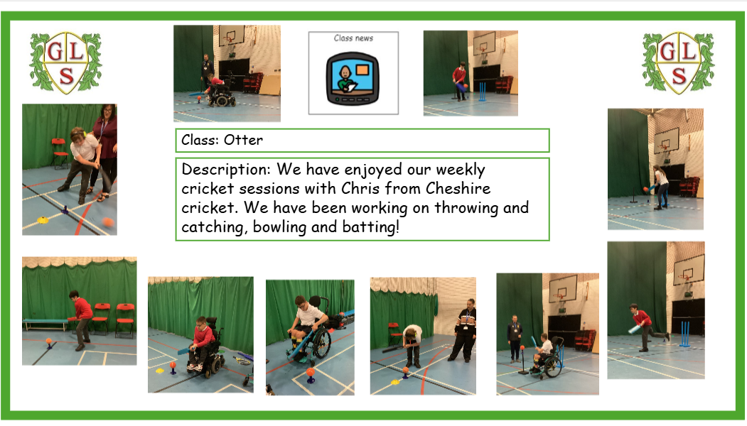 Cricket