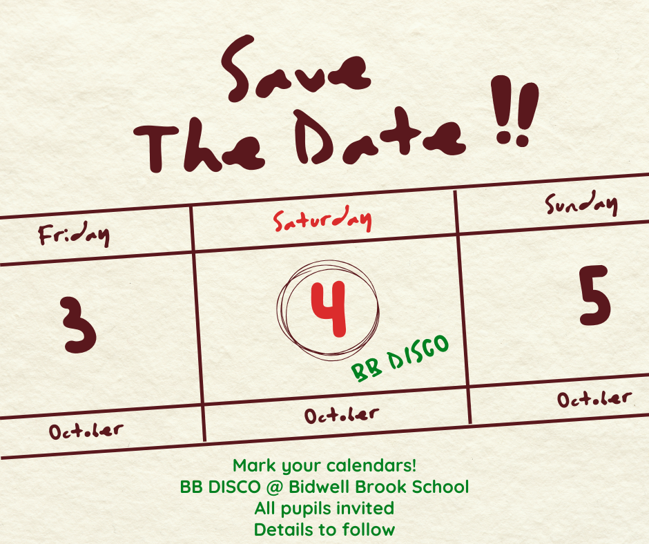 BB Disco Poster