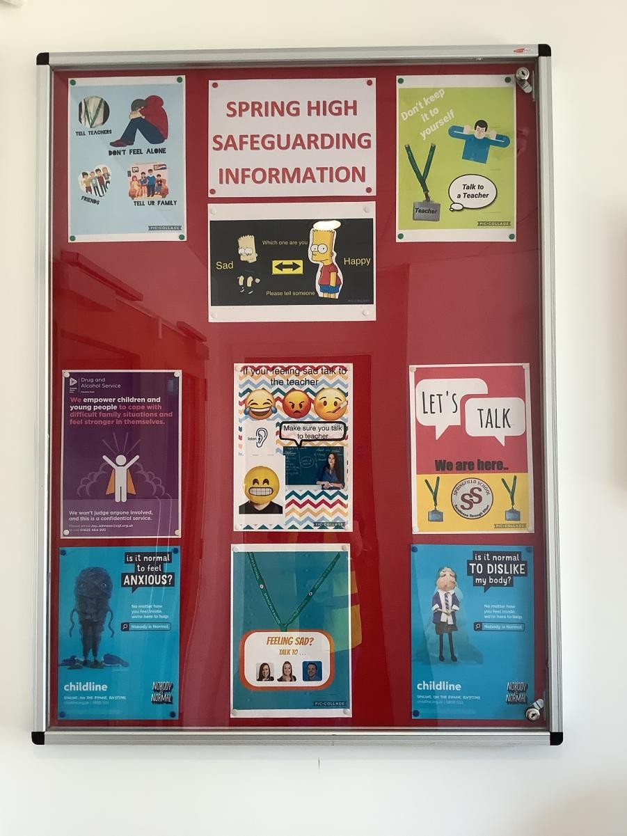Pupil Safeguardimg Board