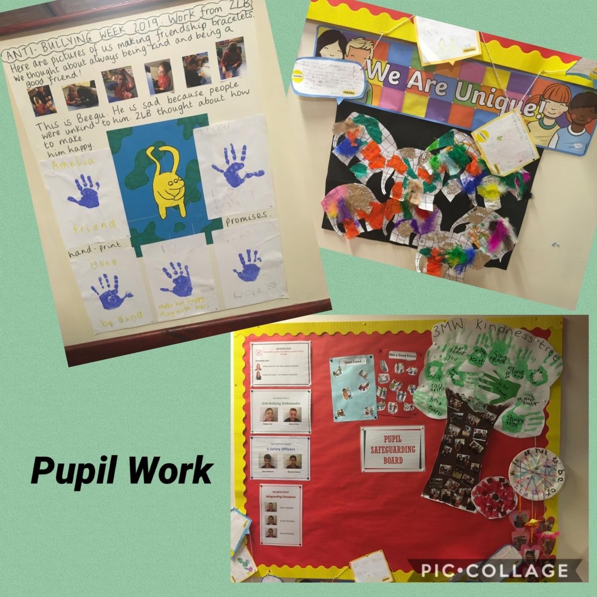 Examples of Pupil Safeguarding Work