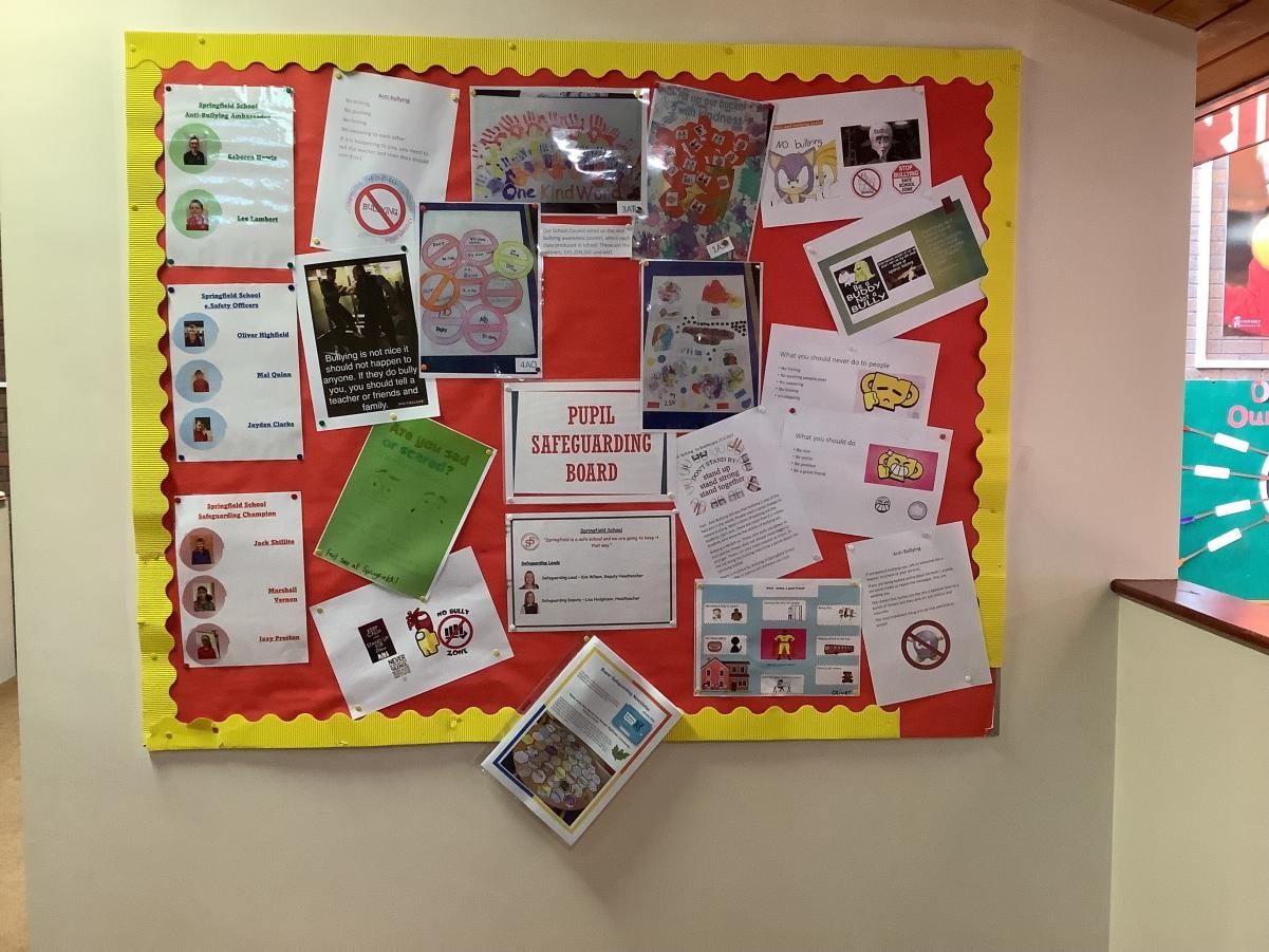 Pupil Safeguarding Board