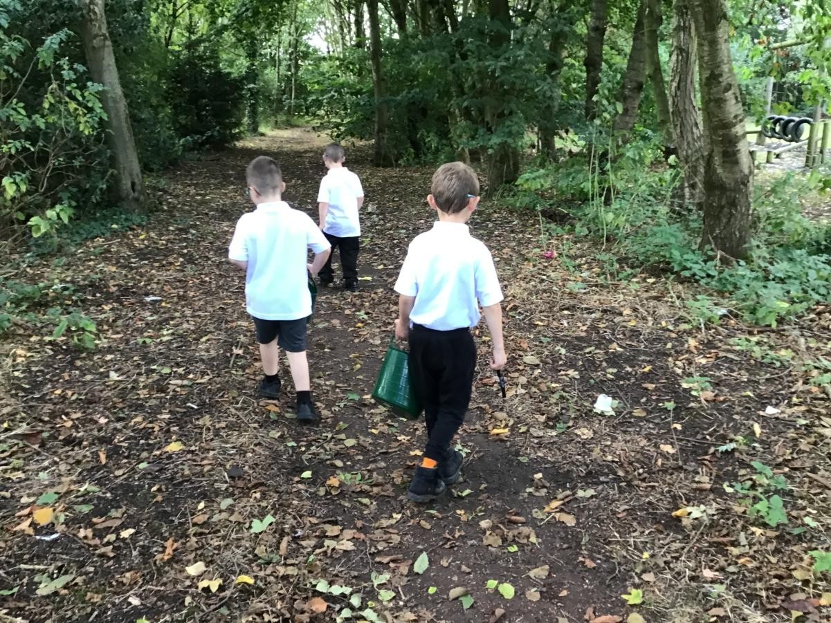 Children walking through woods