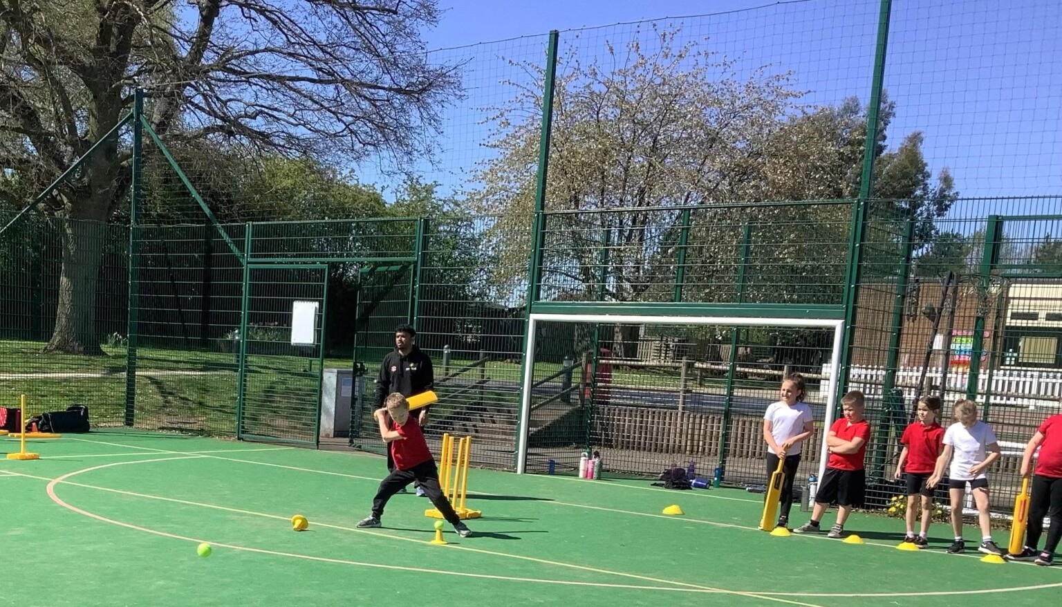Cricket