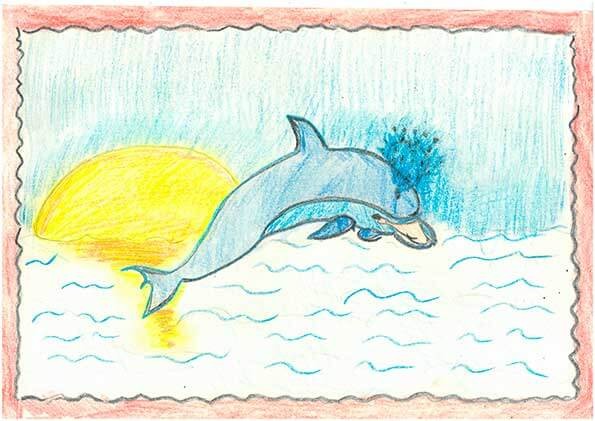 Dolphins class