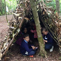 Yew Trail