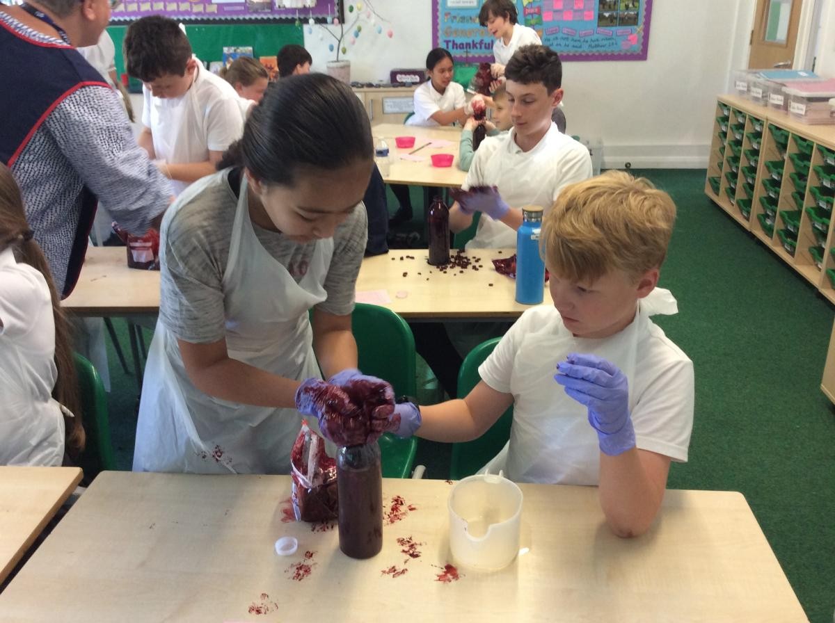 Making blood to learn the components...