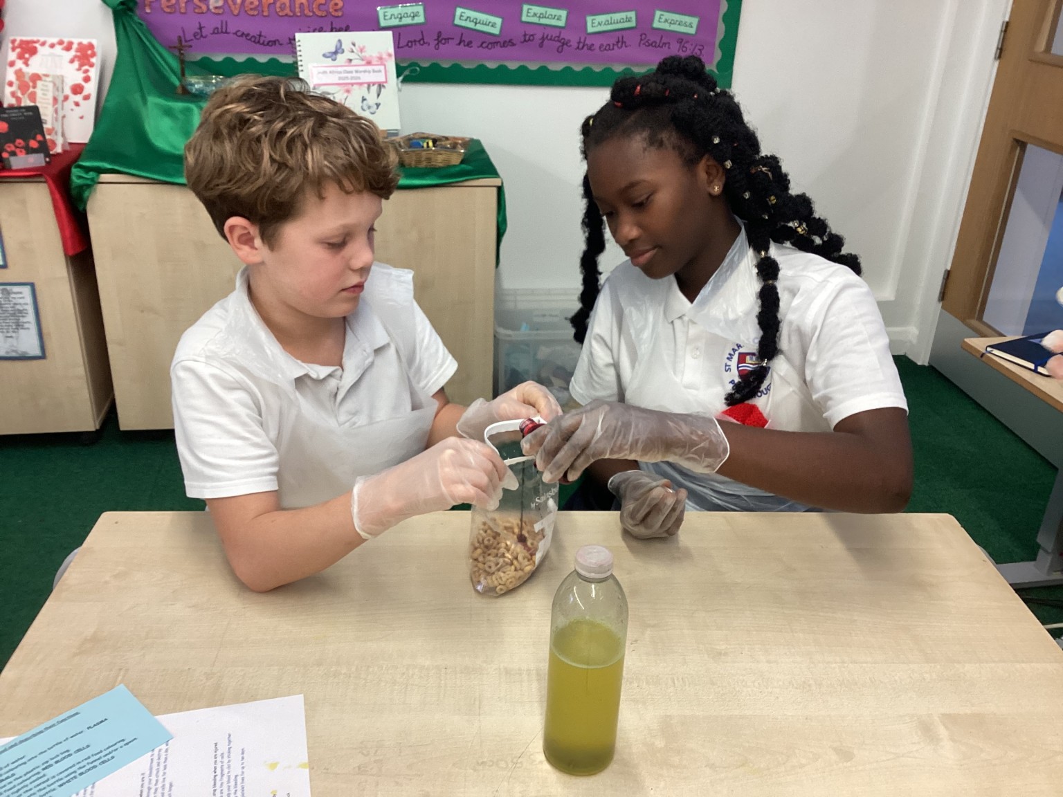 Blood and circulation