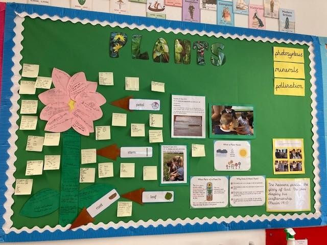 Plants and the learning