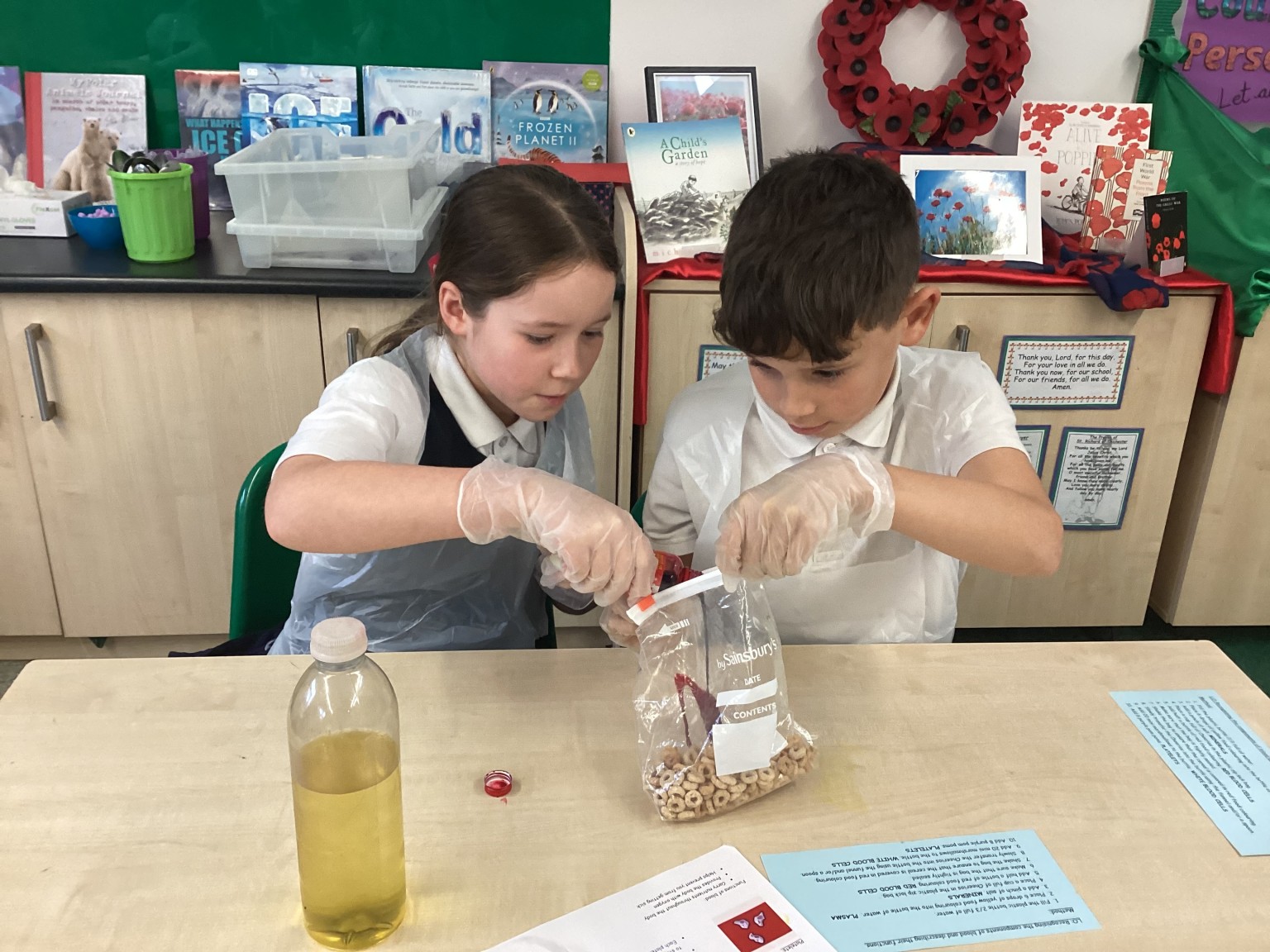 Blood and circulation