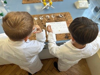 Science investigation - Christ's Hospital
