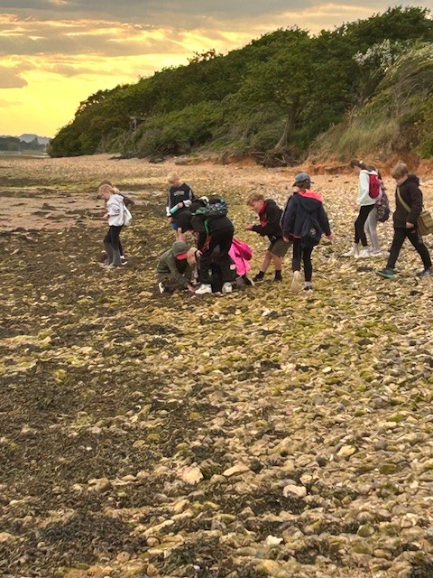 Beach walk - hike