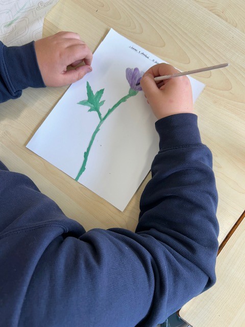 Artwork - obervational drawings Y5