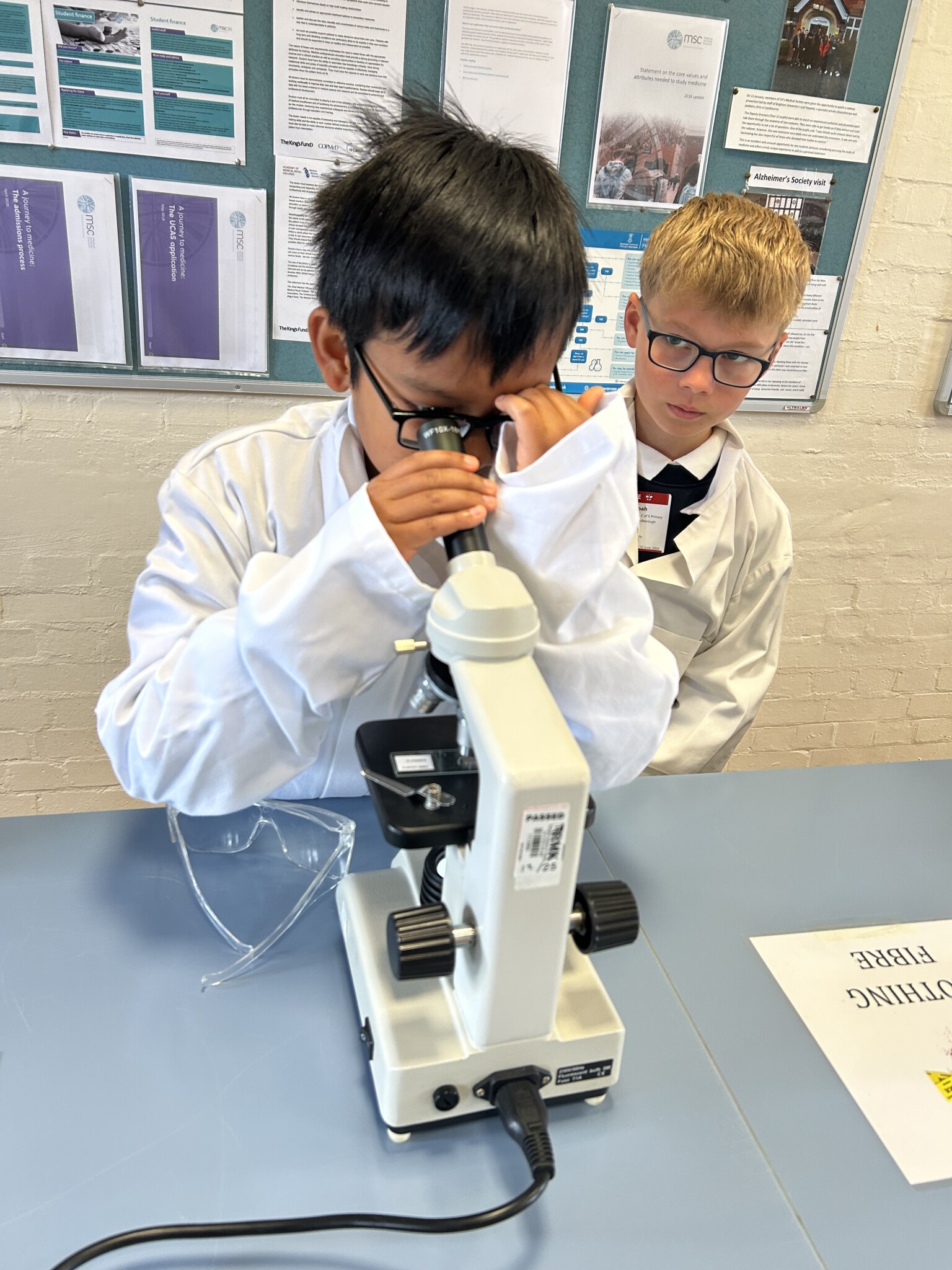 Able scientists - solving the missing doughnut - using microscopes