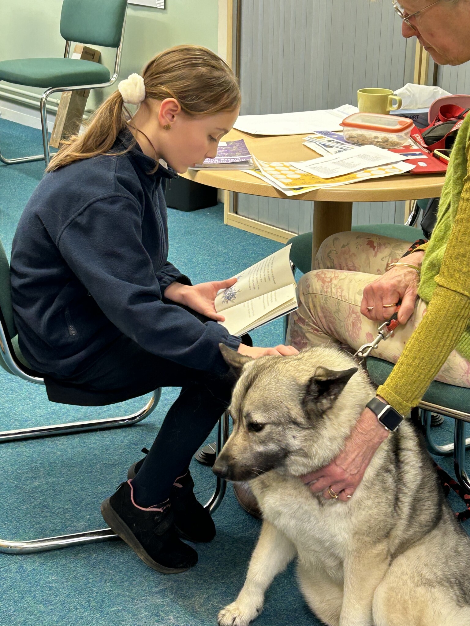 Pets As Therapy dog - supporting pupils