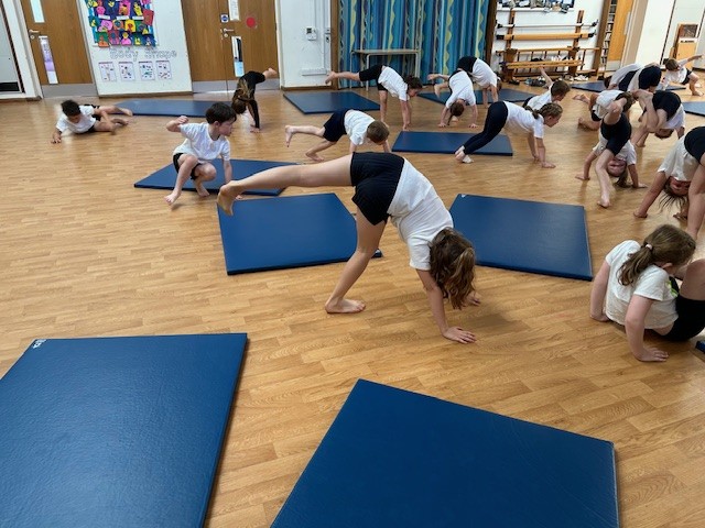 Gymnastics lesson