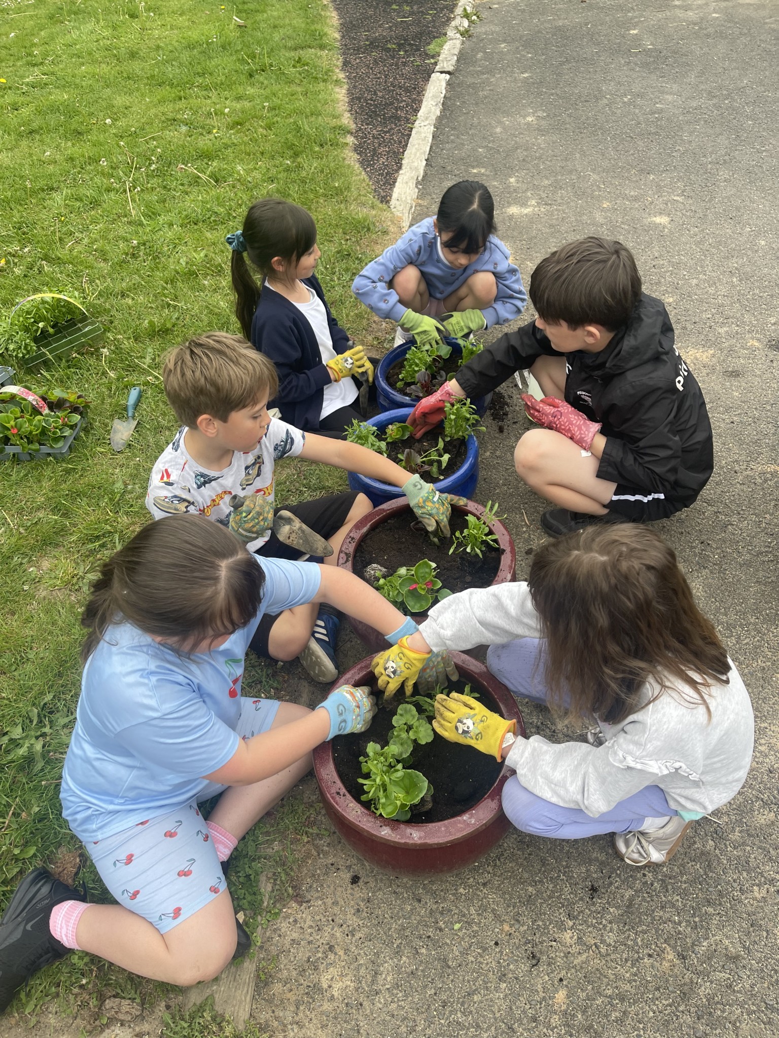 Garden Gang