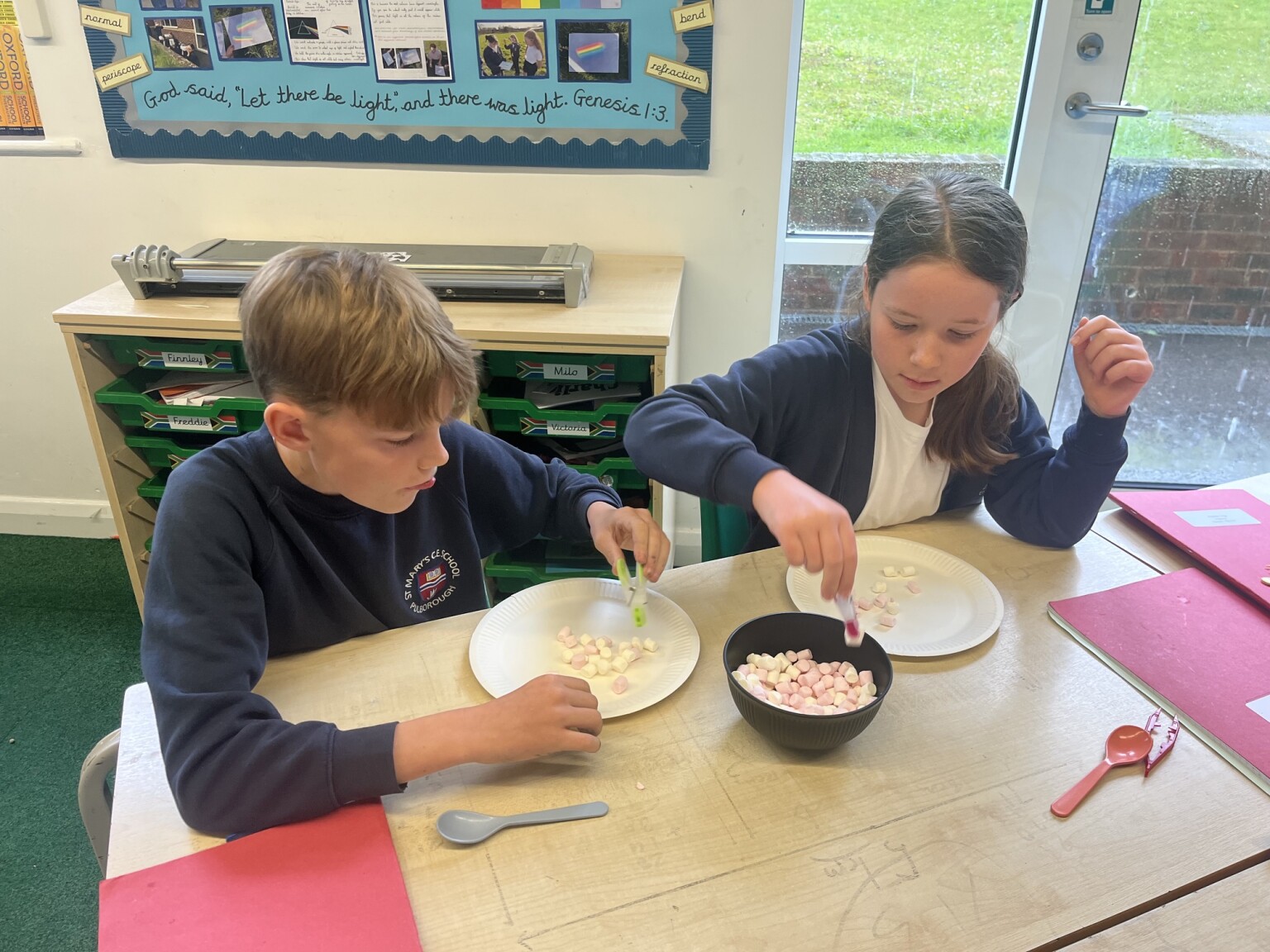 Science Year 6