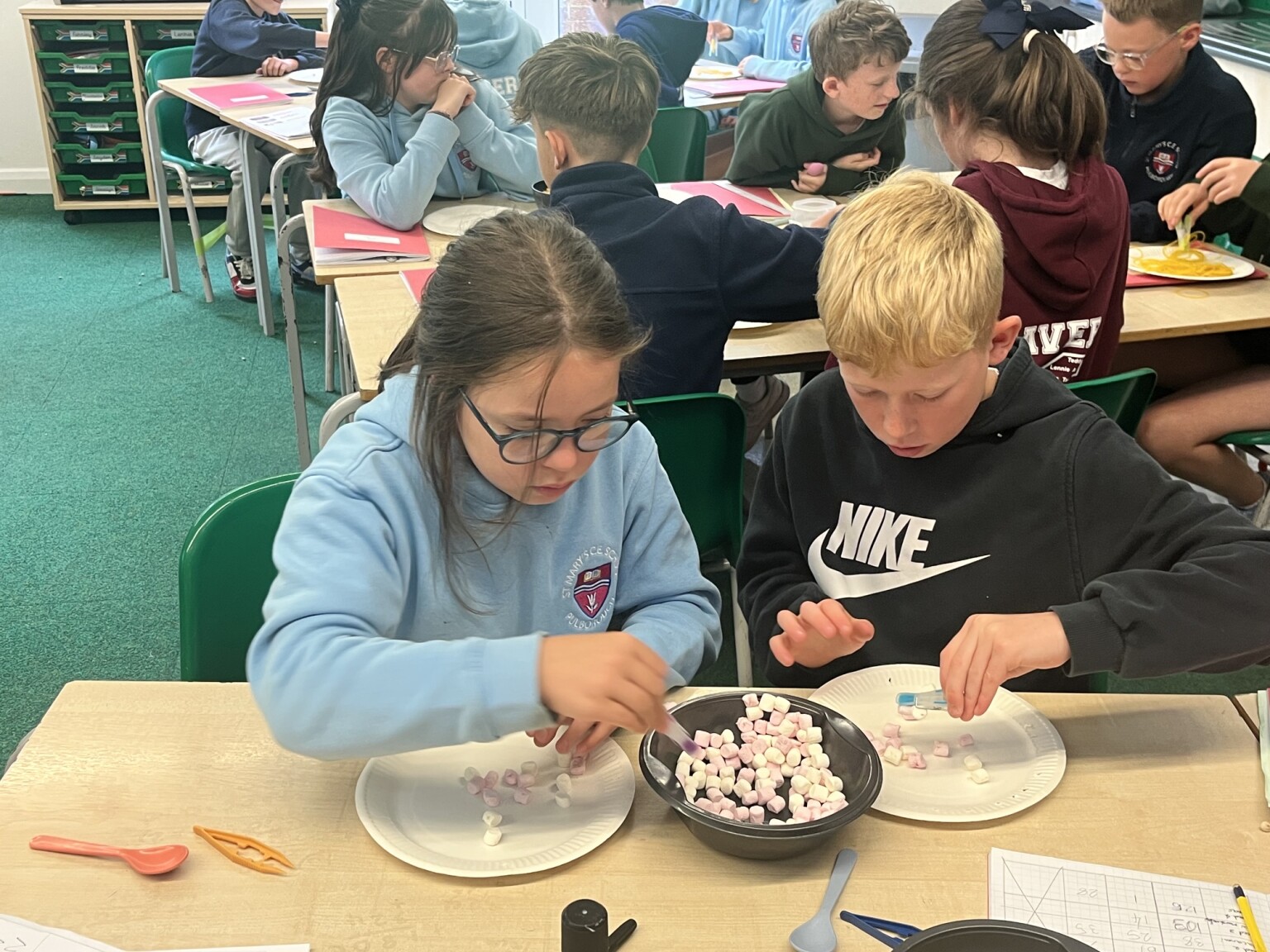 Science Year 6
