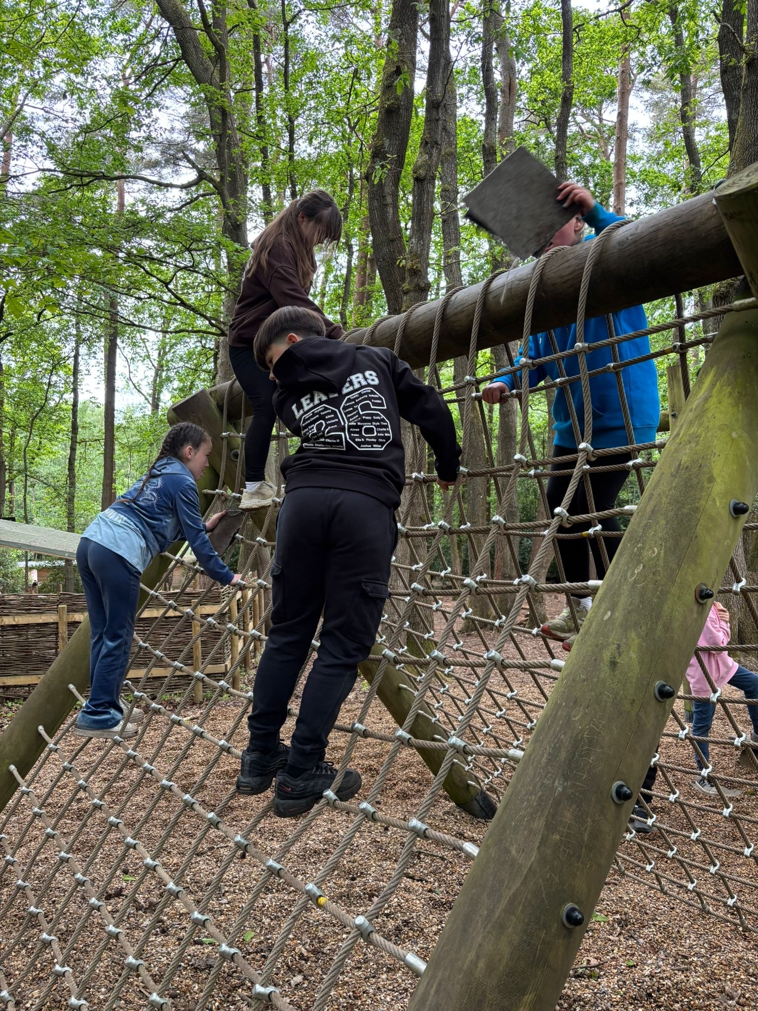 Y6 residential