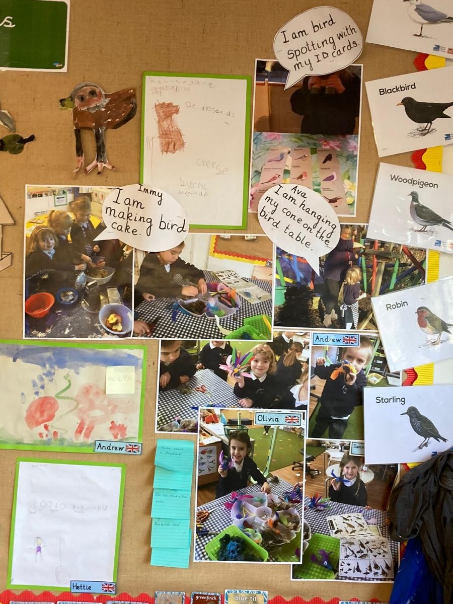RSPB bird watch - pupil voice