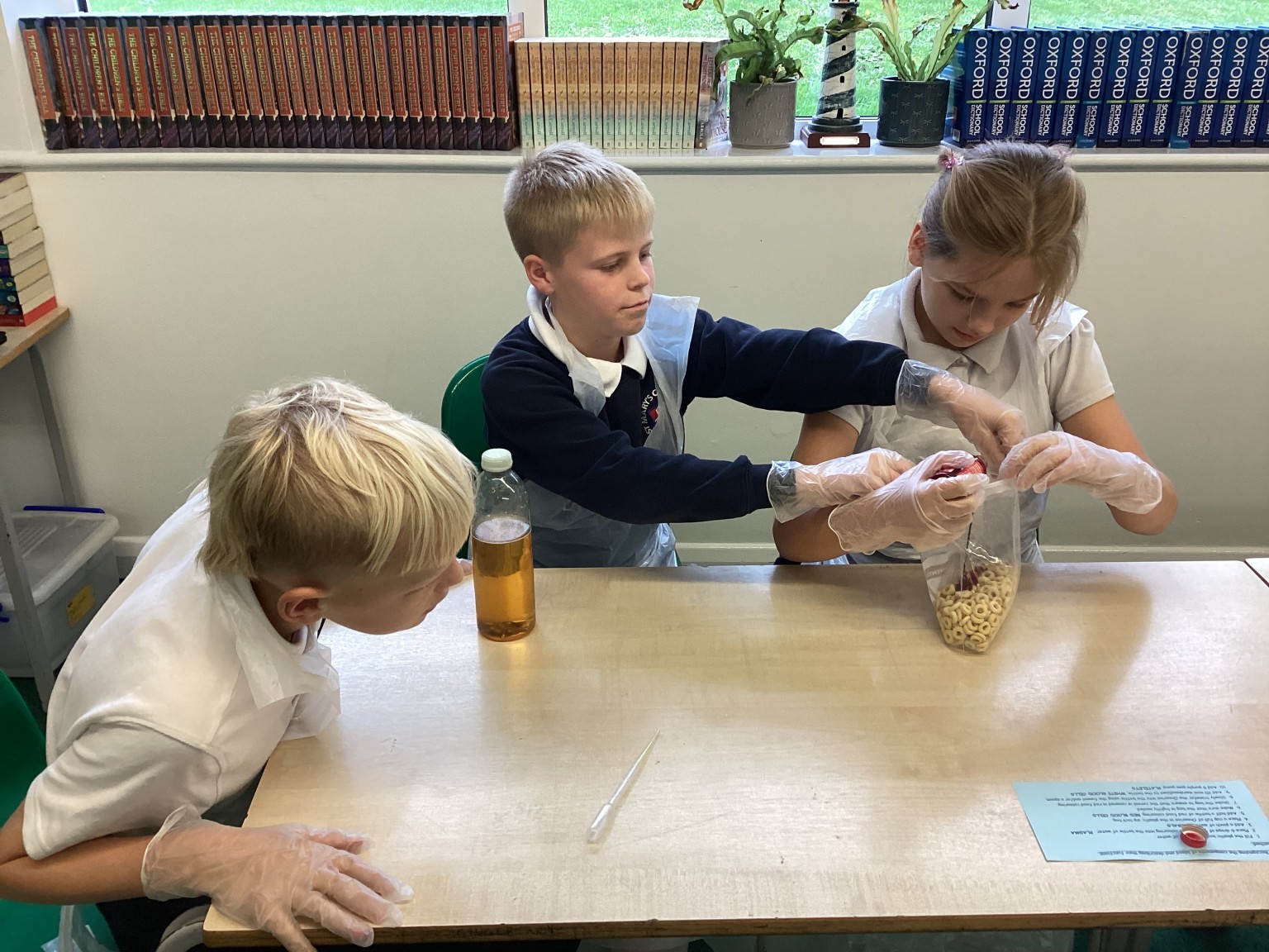 Blood and circulation