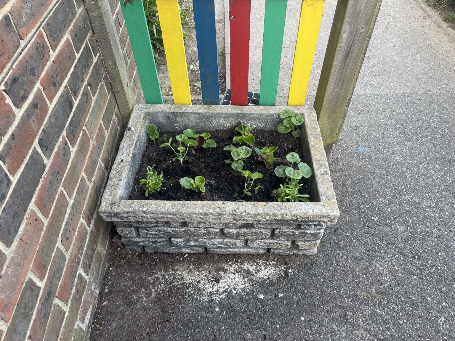 Garden Gang