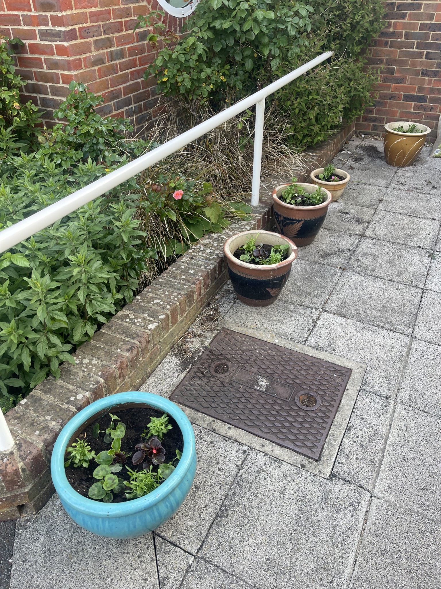 Garden Gang