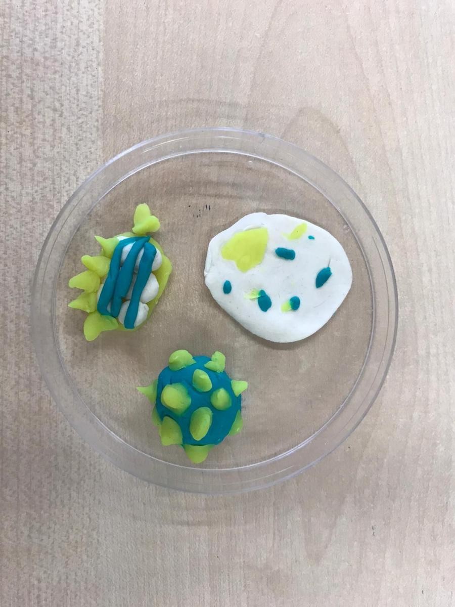 Making bacteria...