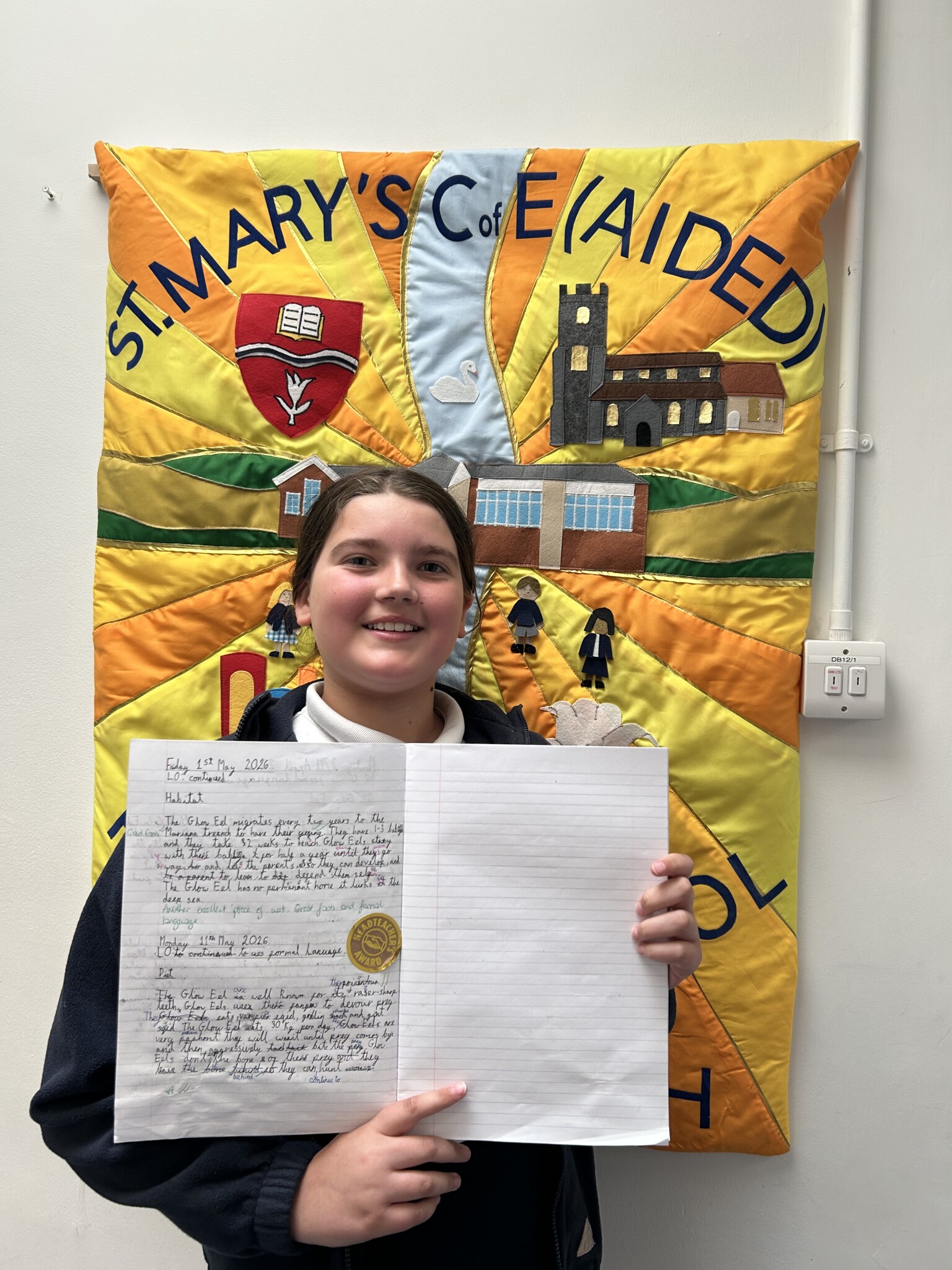 Outstanding writing - Year 5!