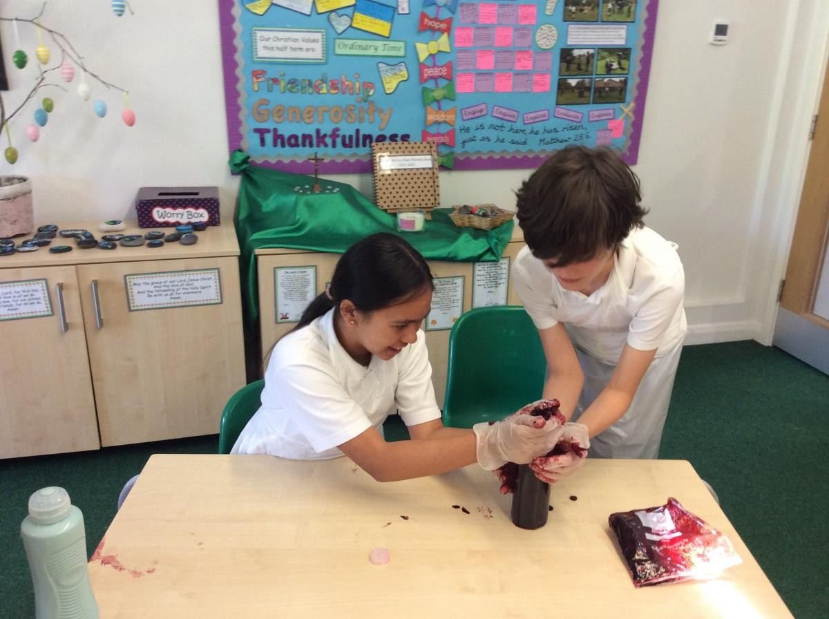 Making blood to learn the components