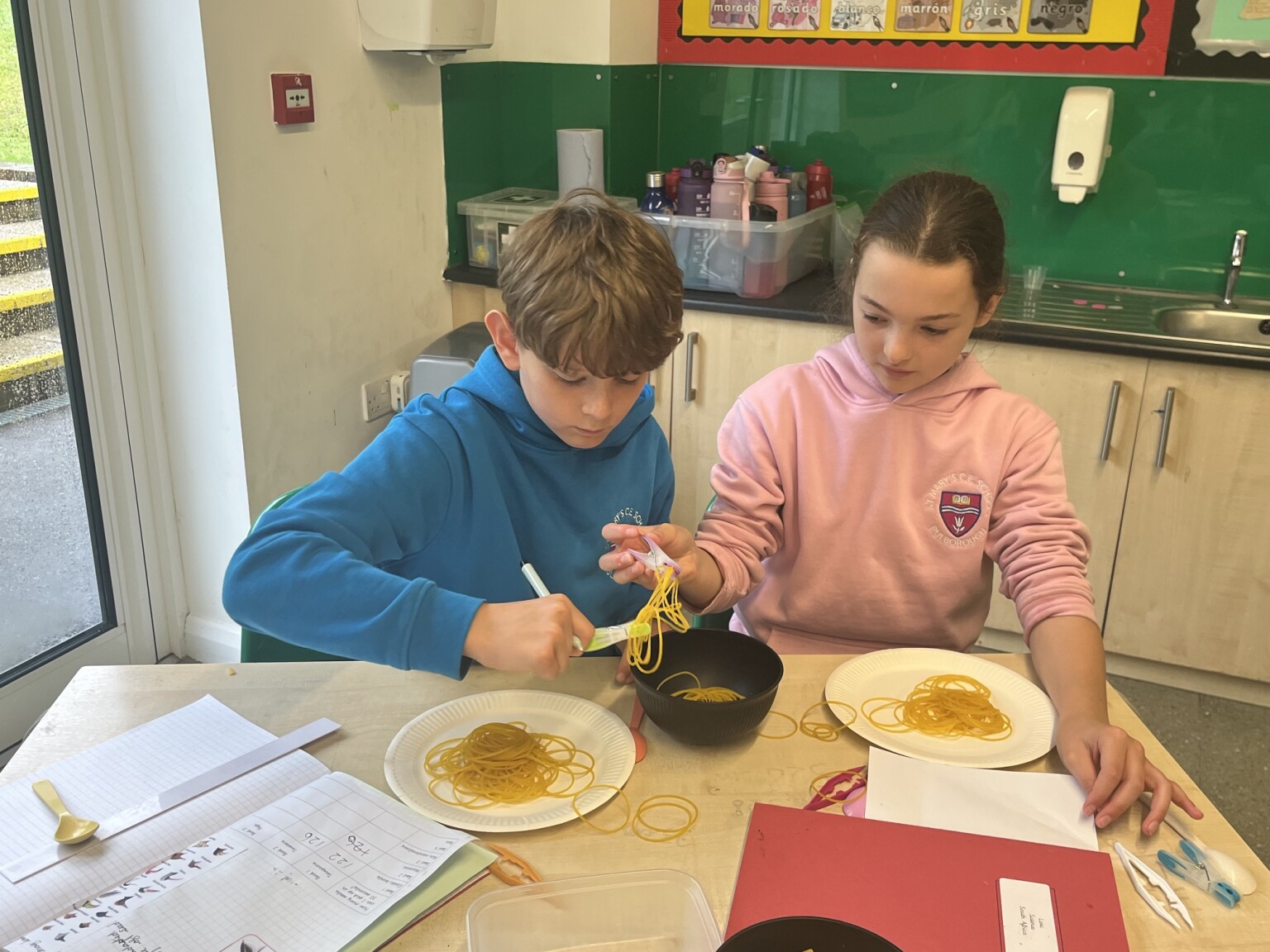 Science Year 6