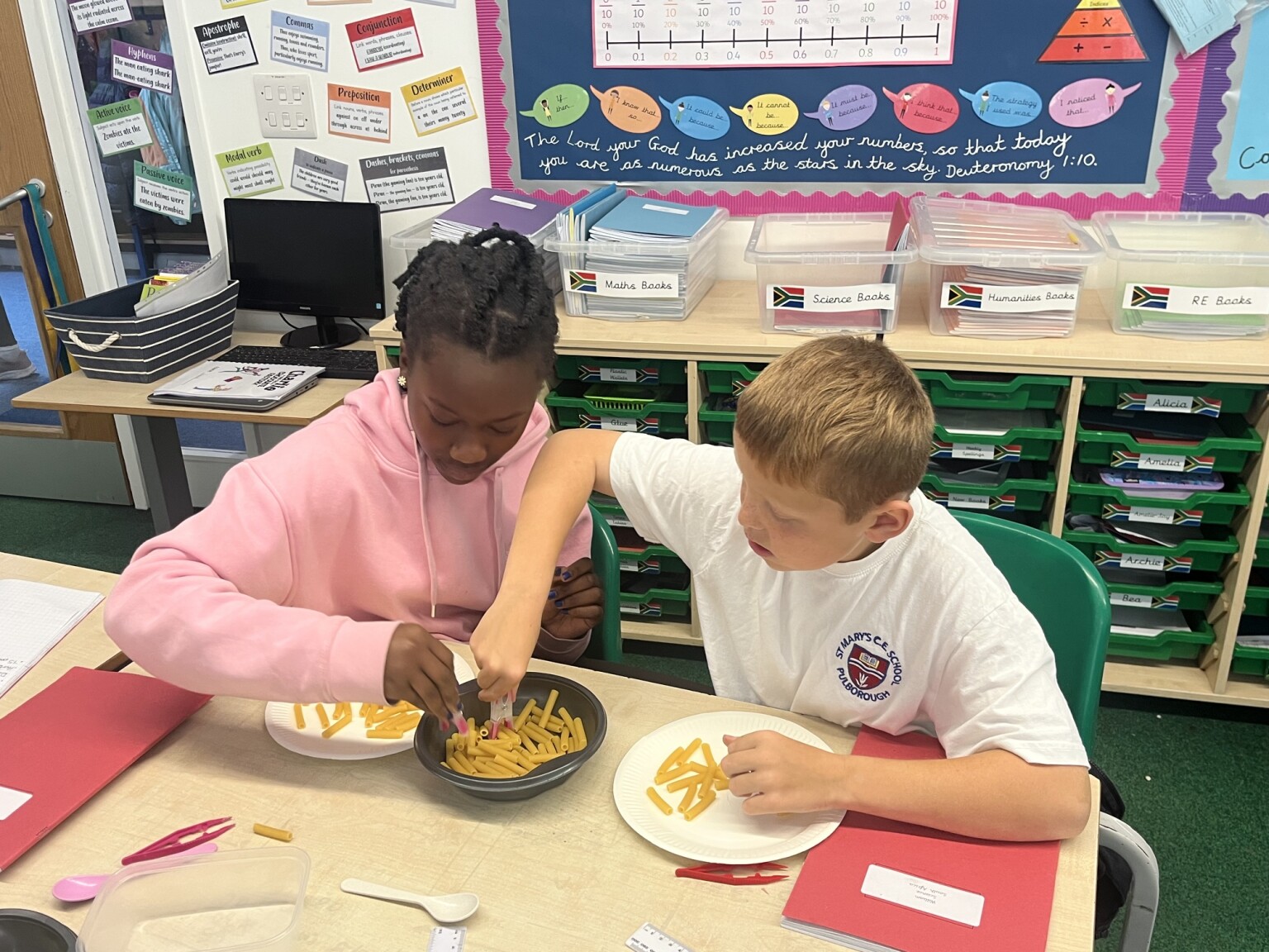 Science Year 6