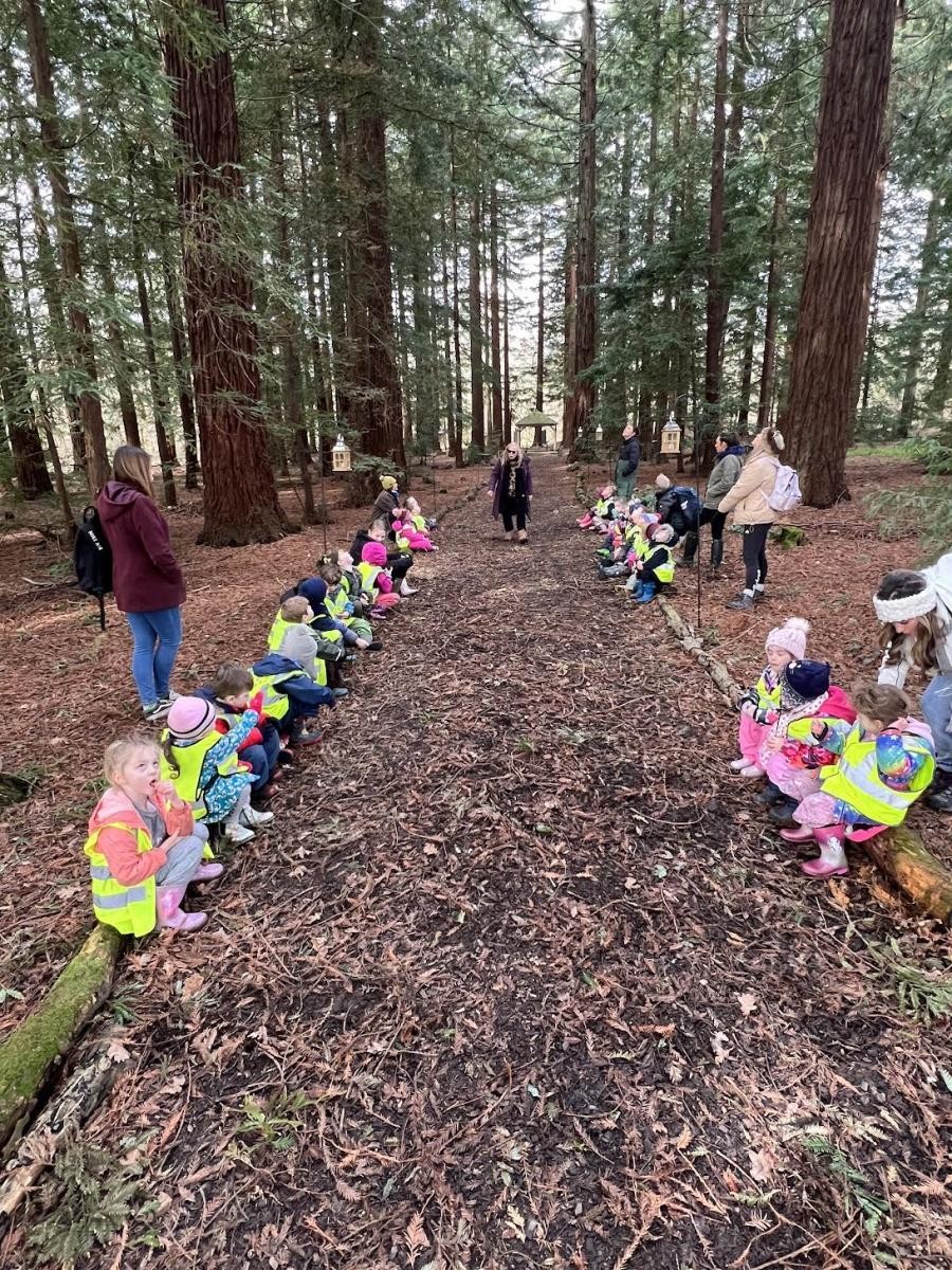 Out in the woods!
