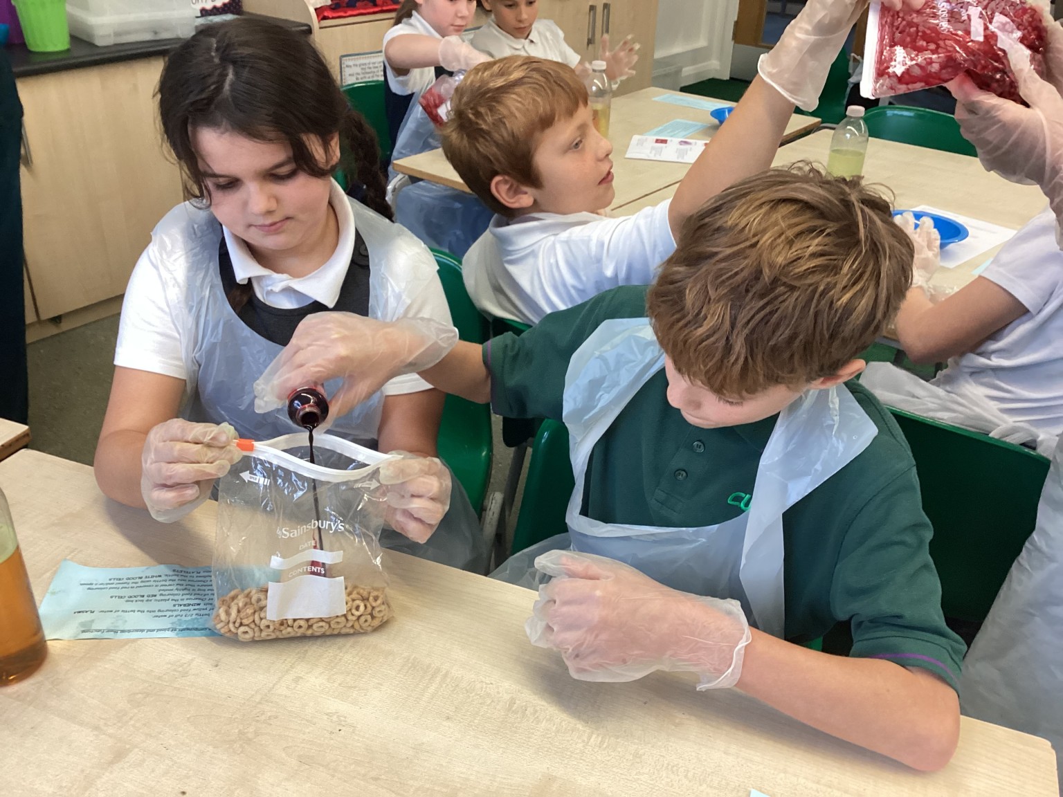 Blood and circulation